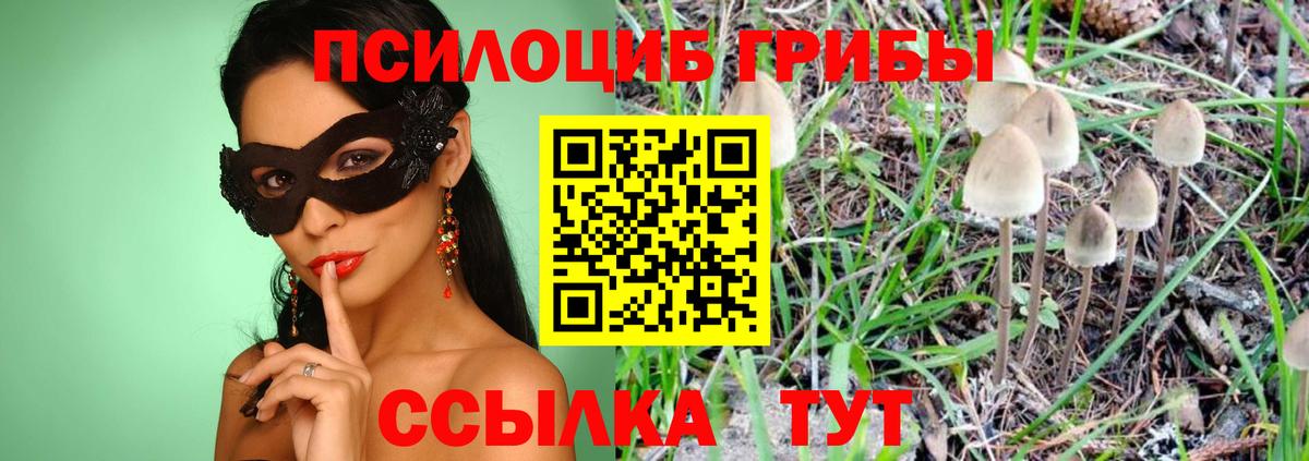 Октябрьский  Галлюциногенные грибы Psilocybine cubensis  Вход с VPN 